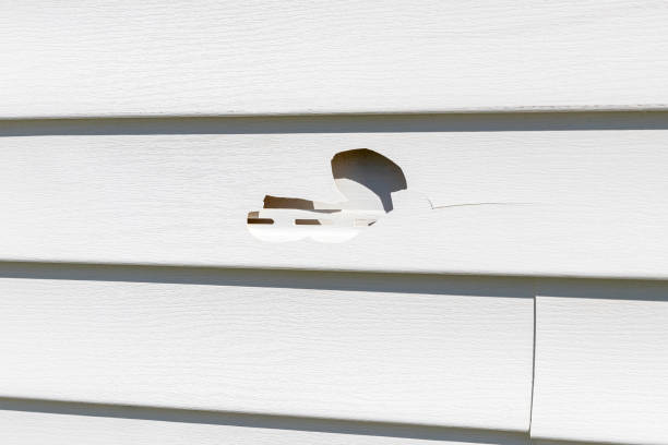 How To Choose The Right Materials for Your Siding Installation in 'Glenwood, AR